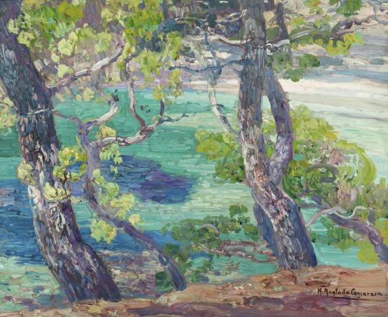 Anglada-Camarasa, pines over the turquoise bay