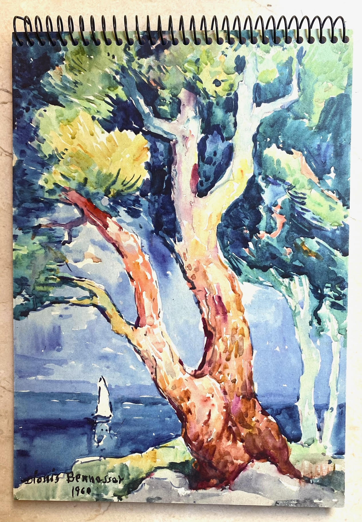 Dionís Bennàssar, watercolour sketchbook study of pine tree, 1960
